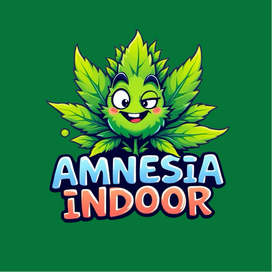 Amnesia Indoor 🍋